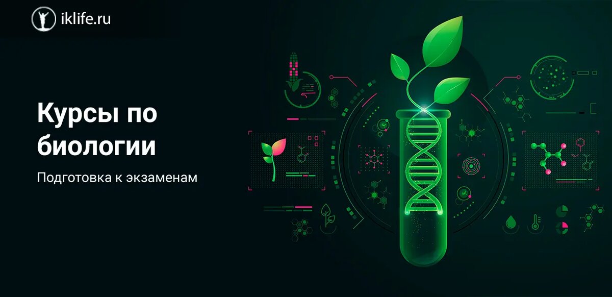 Пришла биология. Задания егэ 2024 биология. Рохлов биология 2024. Подготовка к экзамену по биологии. Пришла биология.
