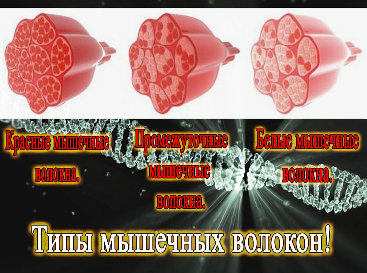 Источник: httpspixabay.com