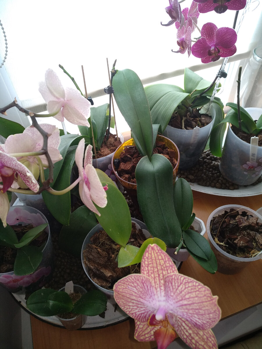 Видите им светло. 