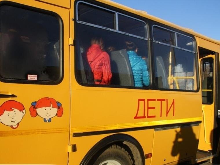 Веселые школьные автобусы