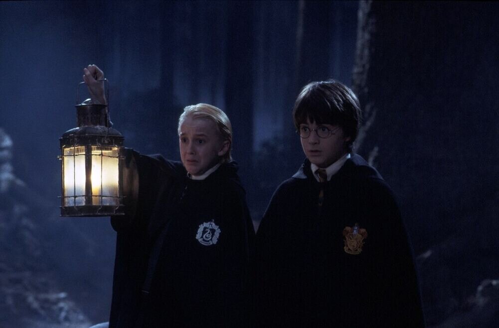 Драко и Гарри в Запретном лесу на первом курсе. Поттер.вики.