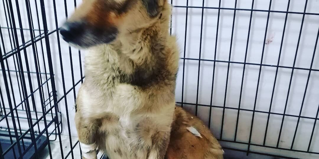 Знакомство