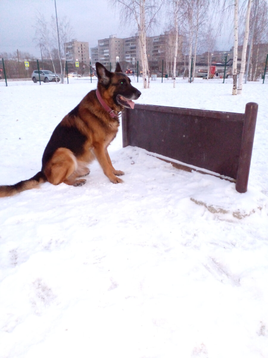 Барьер. Фото автора. 