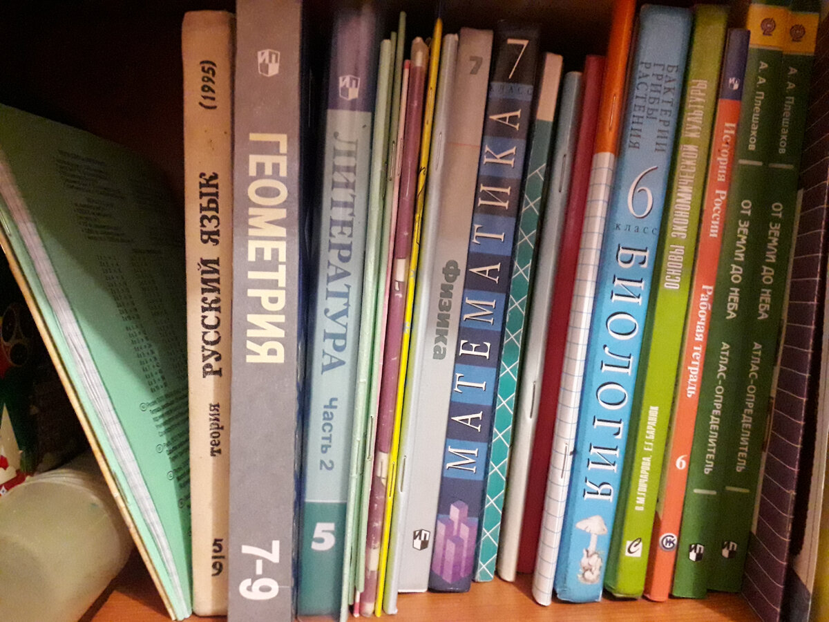 Я не могла подумать, что репетиторский урок для 7-классника может достигать цены в 5 000 рублей. Фото автора.