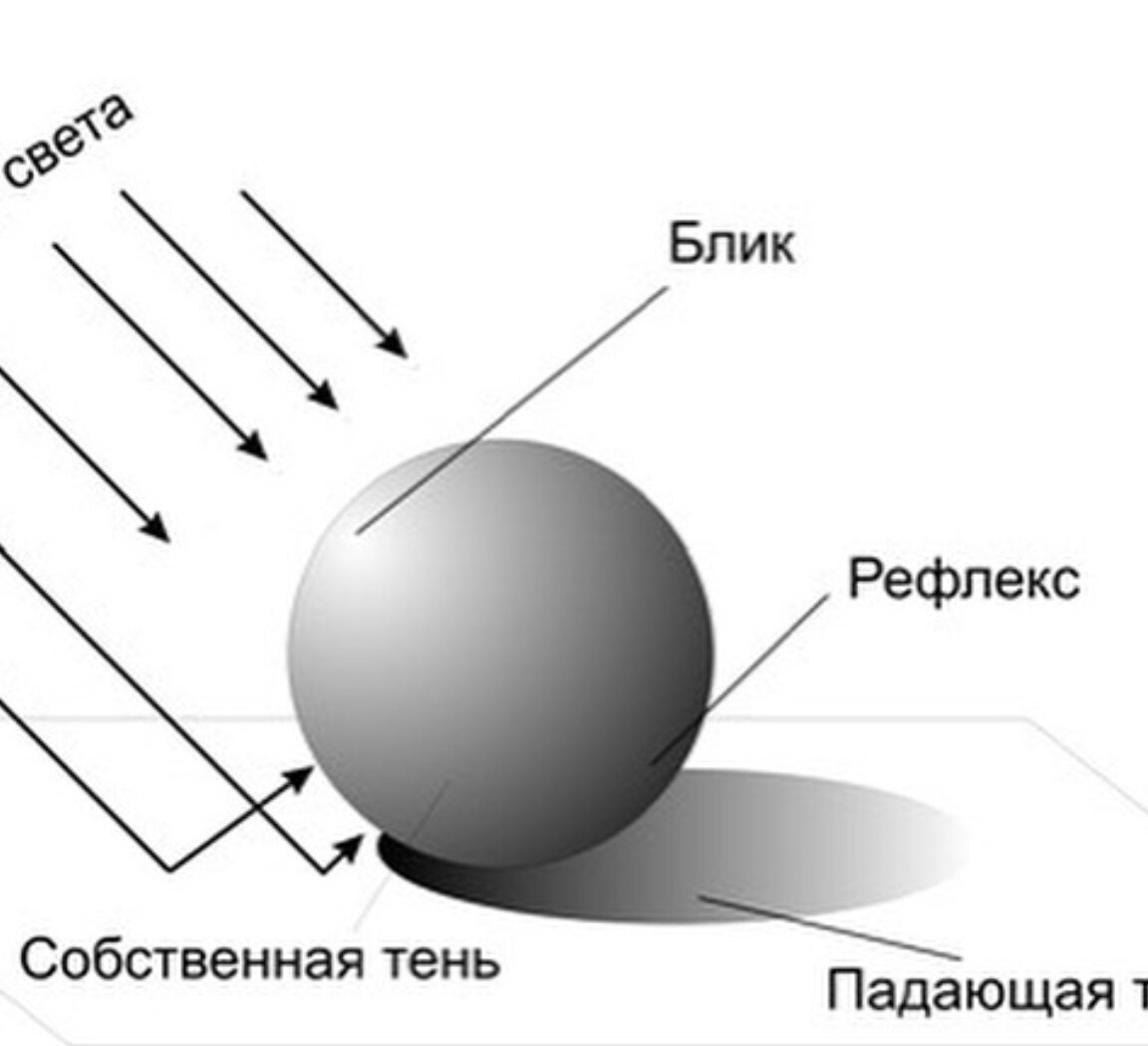 Блик свет тень полутень рефлекс блик в рисунке