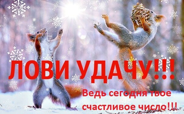 Фото из открытого источника Яндекс