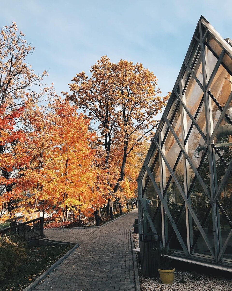 Фотографии: наш личный архив, пресс-служба ВДНХ, бюро Wowhaus