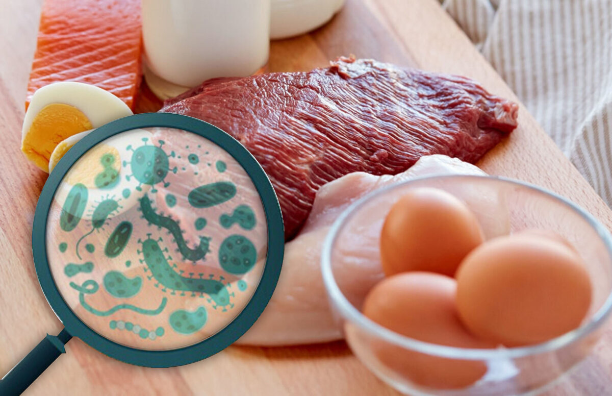 Сальмонеллез представляет опасность и для кур, и для человека (фото с сайта el-klinika.ru)