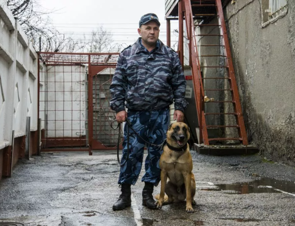 Добавьте описание