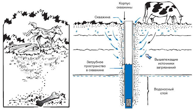 Заиливание скважины и что делать, причины. Как ее почистить!