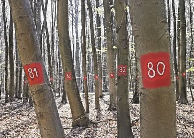 Что удивляло солдат СССР во время службы в ГДР? | Священная Земля | Дзен