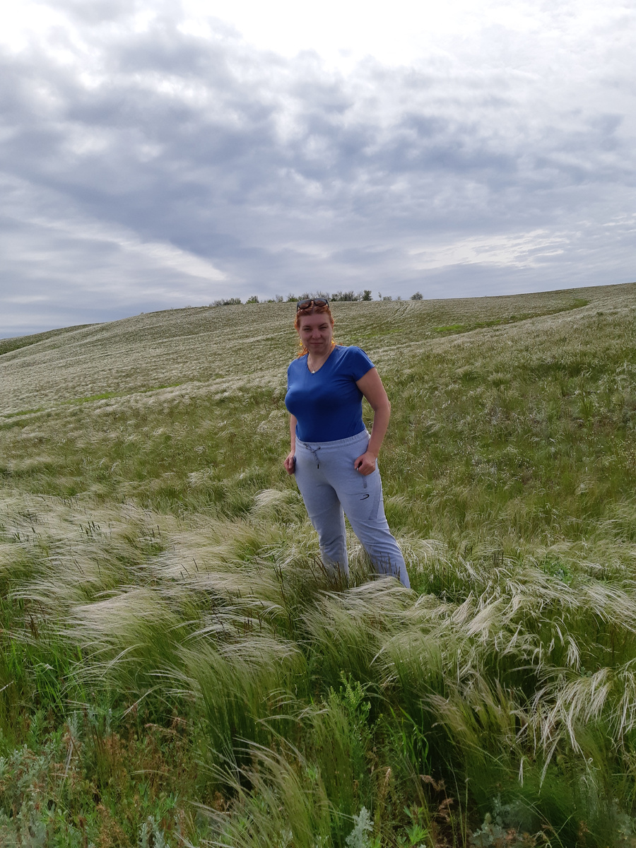 Любимые донские степи