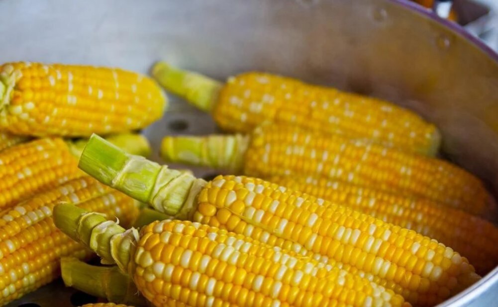 Кукурузное зерно - один из продуктов, которого теперь остро не хватает странам-импортерам. Фото: pixabay.com 