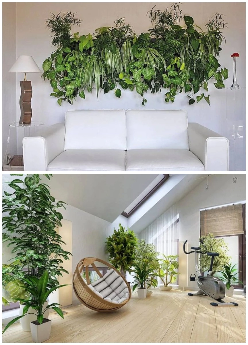 В чем польза комнатных растений?