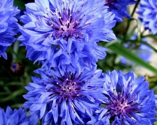 Фото из свободных источников.