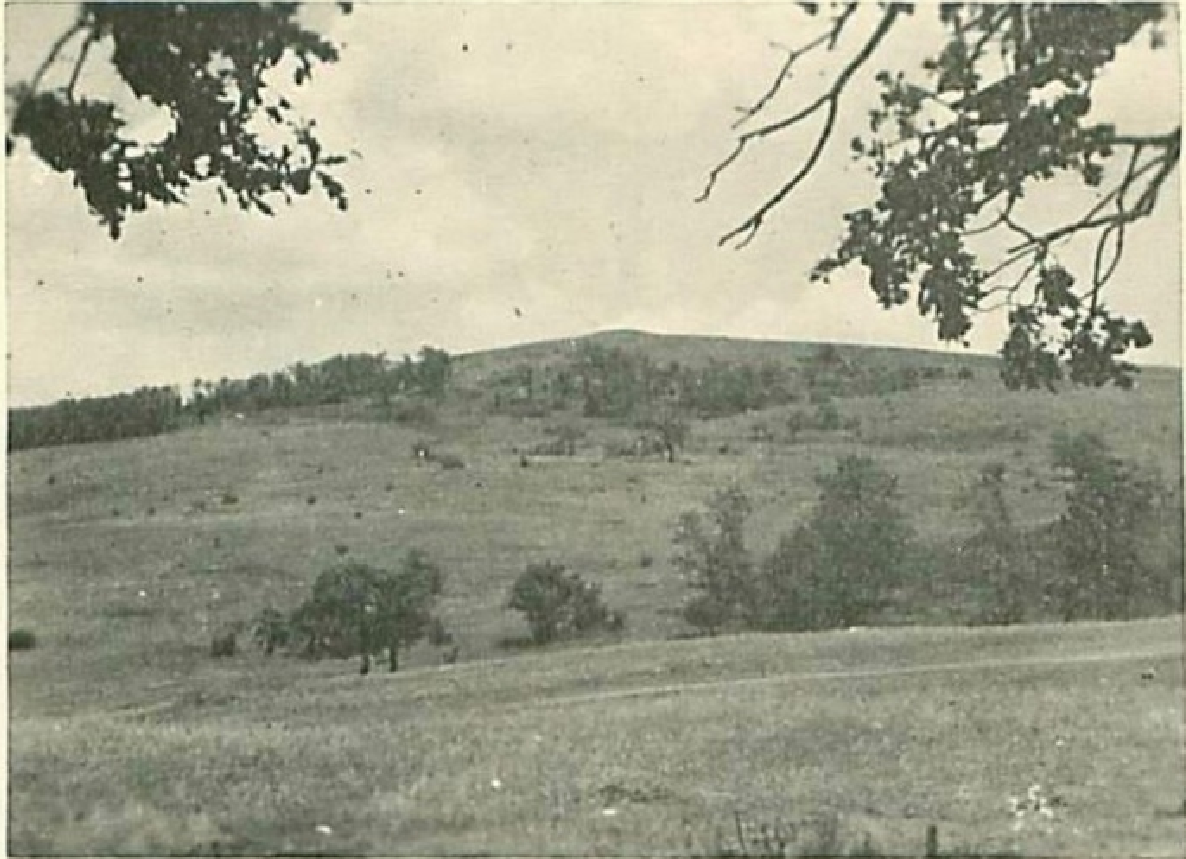 Саур Могила