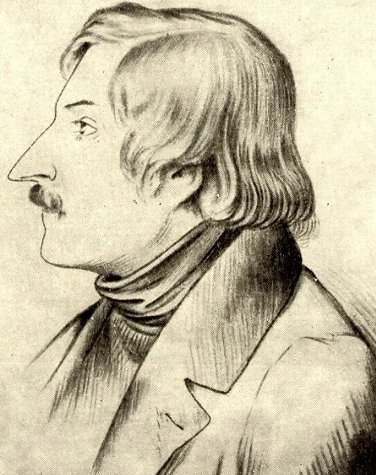 Знаменитый профиль Гоголя, напоминающий одноимённую птицу.