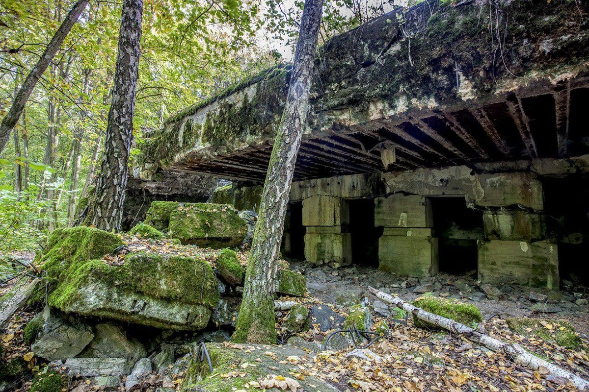 Ставка вервольф в виннице фото