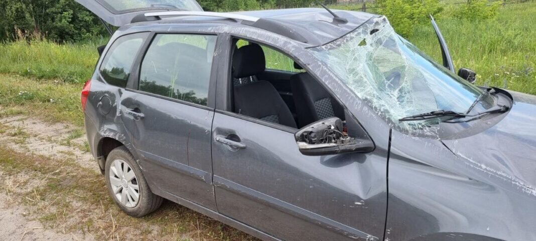    Фото пресс-службы Госавтоинспекции Рязанской области