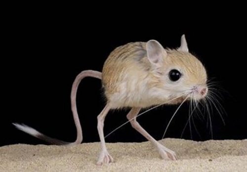 Фото: shutterstock