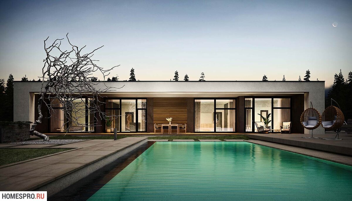 Задний фасад дома. Источник изображения: сайт homespro.ru