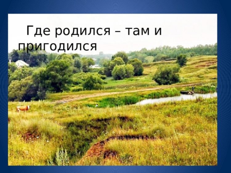 Откуда родилась. Где родился там и пригодился. Где родился там и сгодился. Пословица где родился там и пригодился. Где родился там и пригодился картинка.