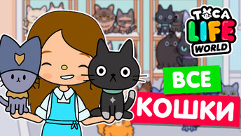 СОБРАЛА ВСЕХ КОТОВ и КОШЕК в Тока Бока 🐈 Toca Life world