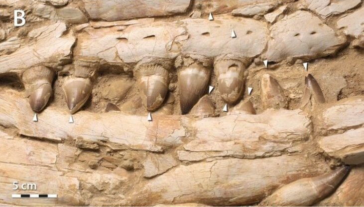 «Орудия убийства» поизносились однако.