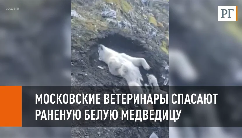 Из открытых источников.