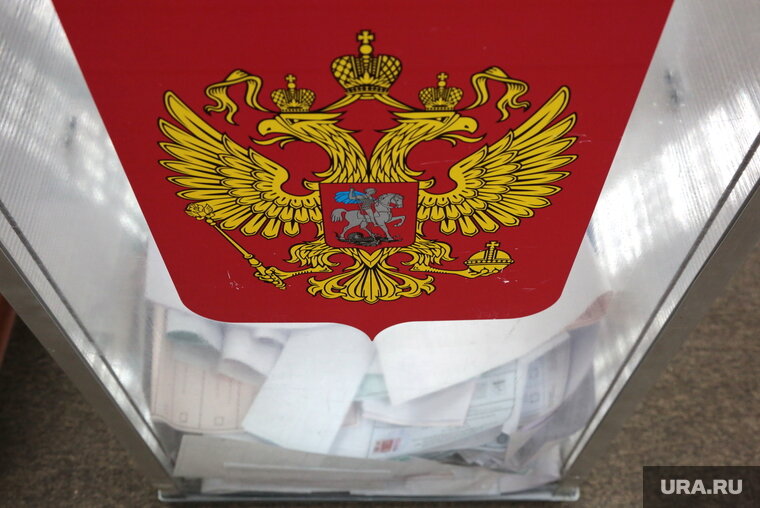    Оппозиции придется смириться с невозможностью критиковать выборы, сообщил политолог