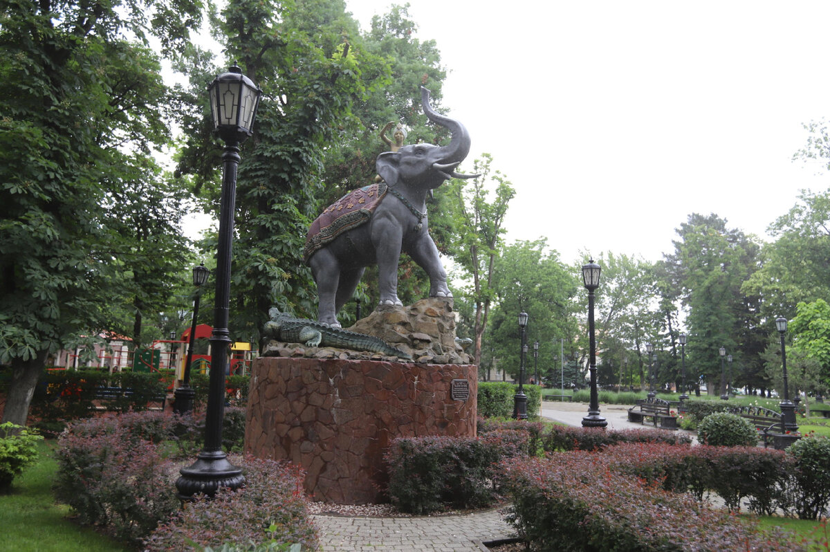 Фото: Денис Яковлев, "Краснодарские известия"