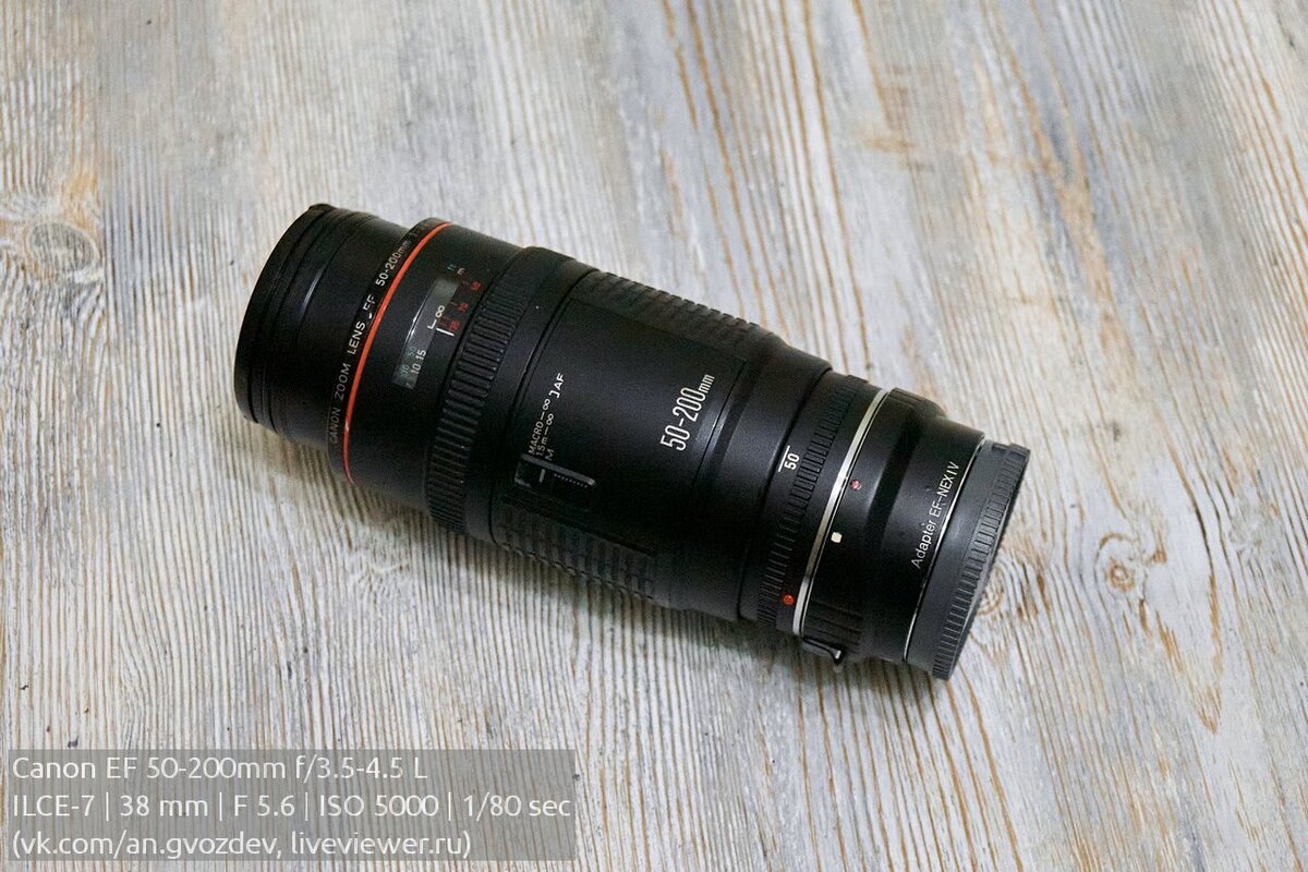 Canon EF 50-200 f/3.5-4.5 L утиный обзор | Иди и снимай | Дзен