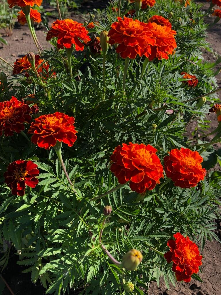 Фото моих друзей