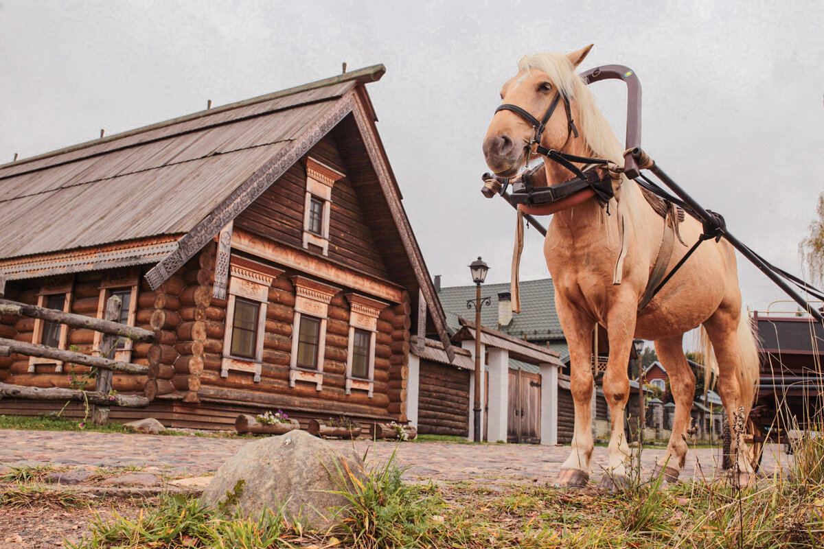 Особенности развития городов | Page 7 | SkyscraperCity Forum