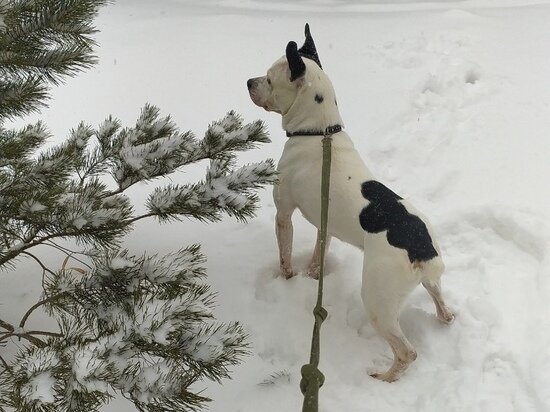     Фото: Елена Балуева / МК в Новосибирске