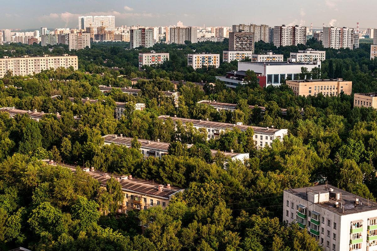 Где можно дешево купить квартиру в Москве: ТОП районов с недорогим жильем |  Кайли — квартиры в новостройках | Дзен