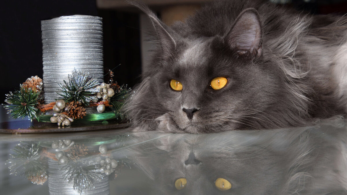 Источник: ru.wallpaper.mob.org