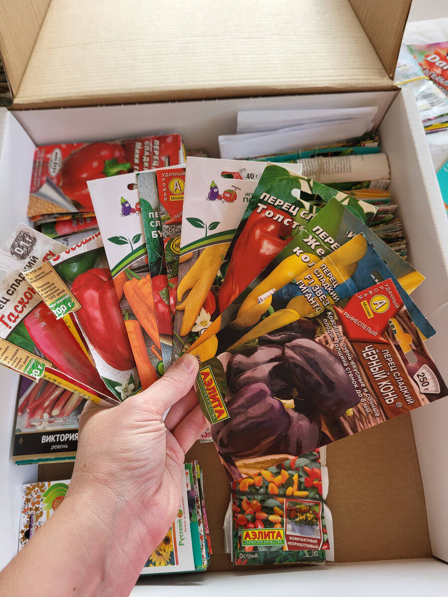 Семена сладкого перца