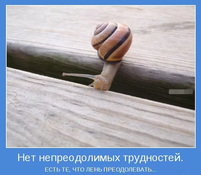 яндекс.картинки, свободный доступ