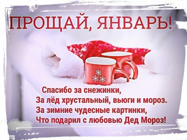 31.01.2023