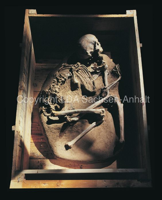 Источник фото: https://www.pinterest.es/pin/403635185340997551/