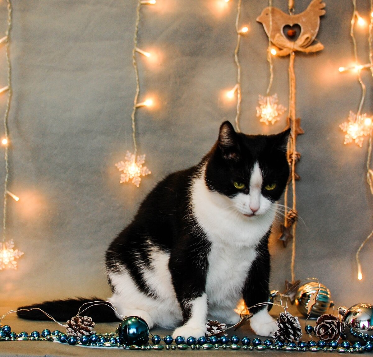 Монюня Великолепная