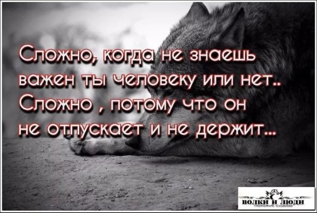 Больно потому что жив. Статусы про привязанность к человеку. Открытки со смыслом. Со мной сложно цитаты. Статусы в картинках со смыслом.