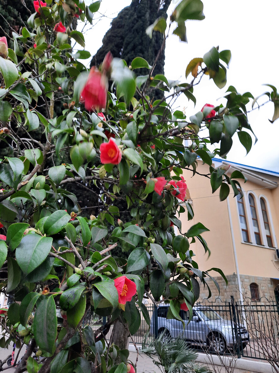 Фото автора