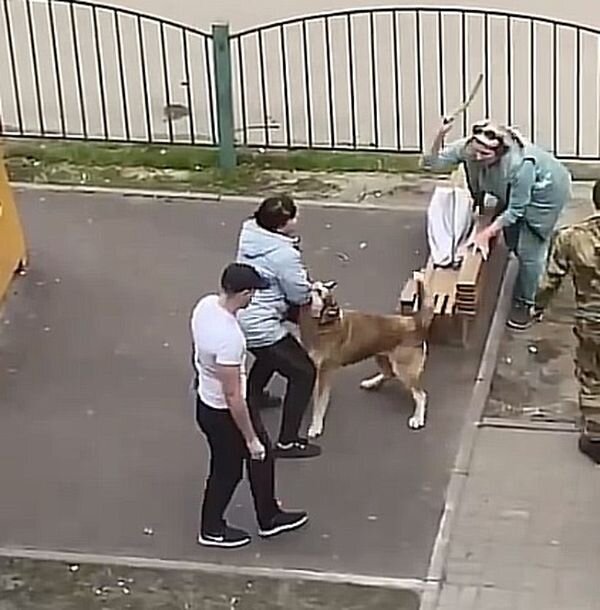 Источник фото: Скрин видео из соцсетей