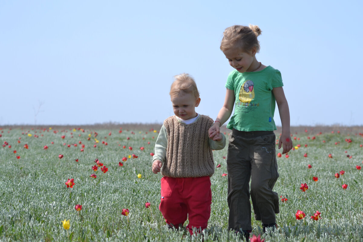 Кулацкая балка. Каменский район Ростовской области. Здесь и далее - фото "КА".