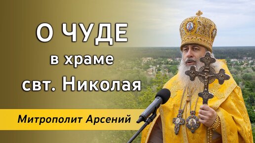 Проповедь митр. Арсения в день памяти свт. Николая Чудотворца 22.05.2023 г.