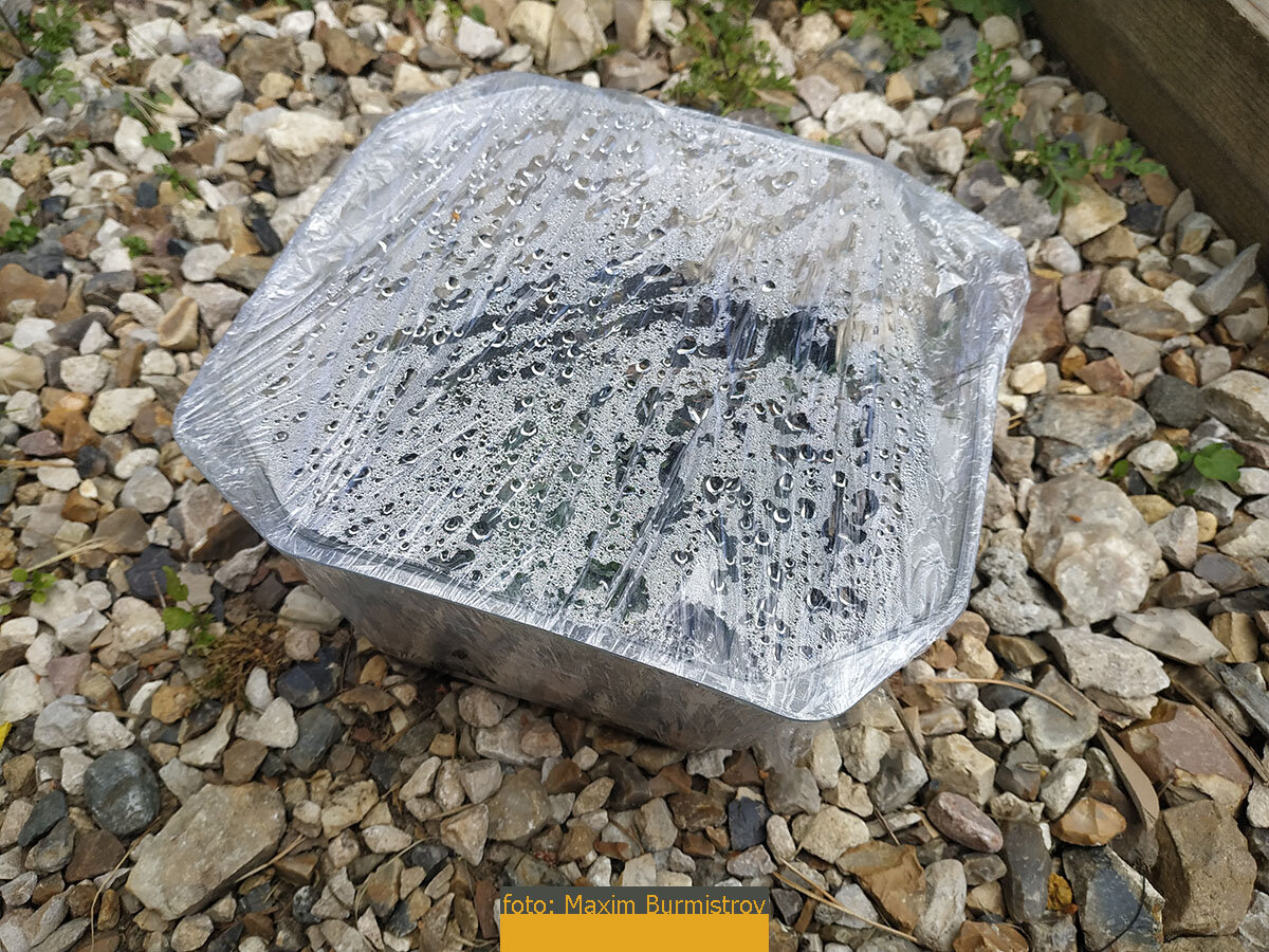 Микропарник весь месяц исполнял свою задачу, но происходящее в нем не навевало бодрых мыслей.