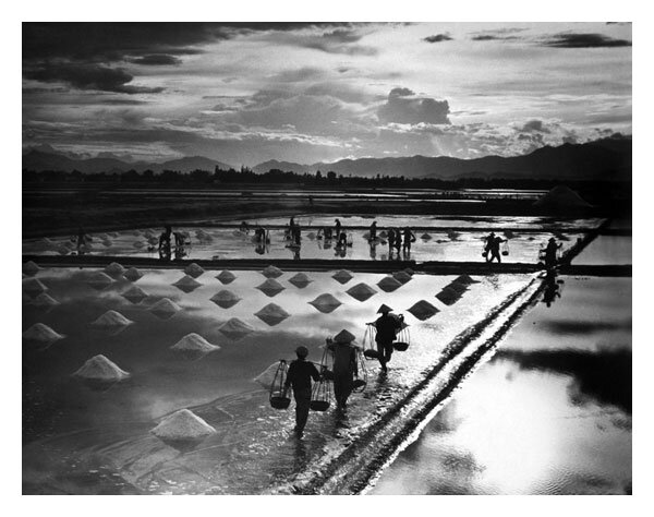 Фото Long Thanh©