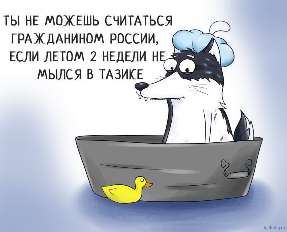 картинка из интернета))